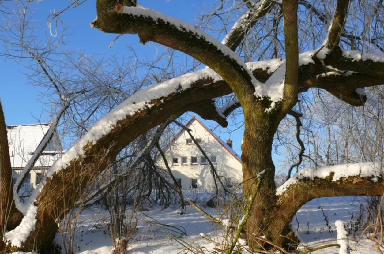 Kulturgutleben Boutiquehotel Seminarhaus Mollenbeck Extérieur photo